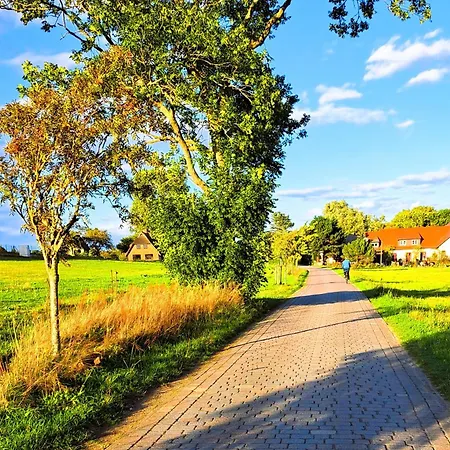 Kleiner In